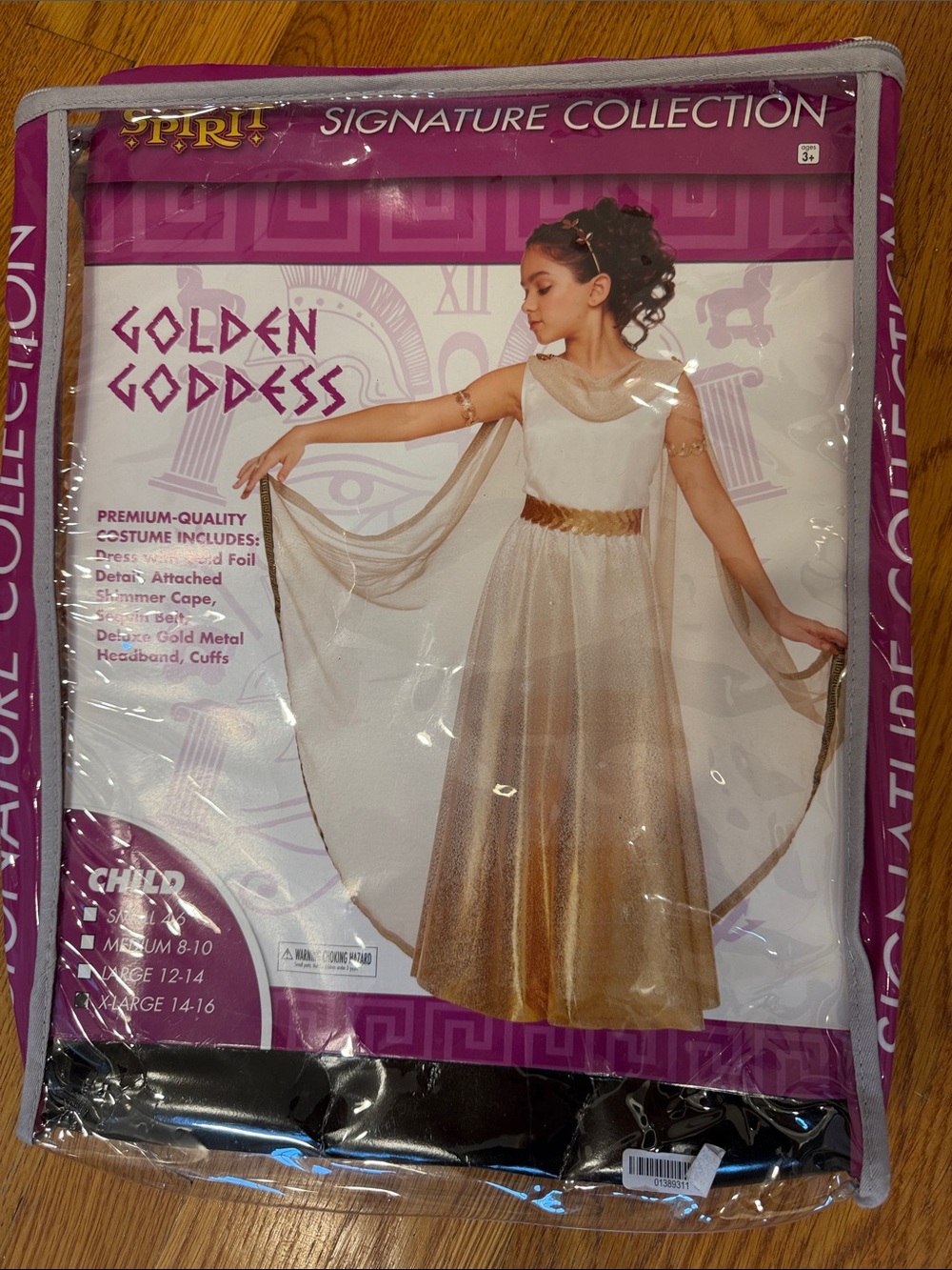 Golden Goddess Kids Costume - Gold Grecian style Kids XL 14-16